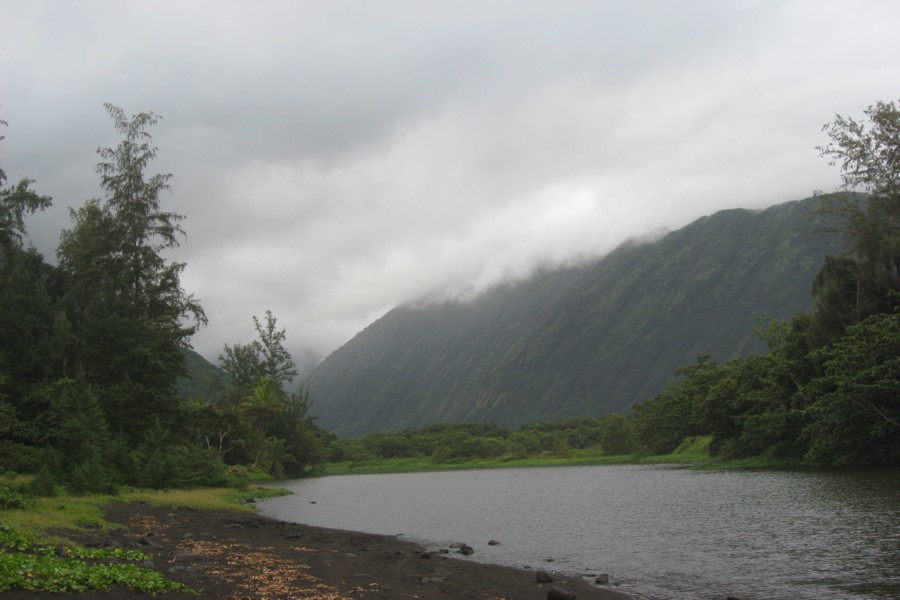 ../image/waipi'o valley 2.jpg